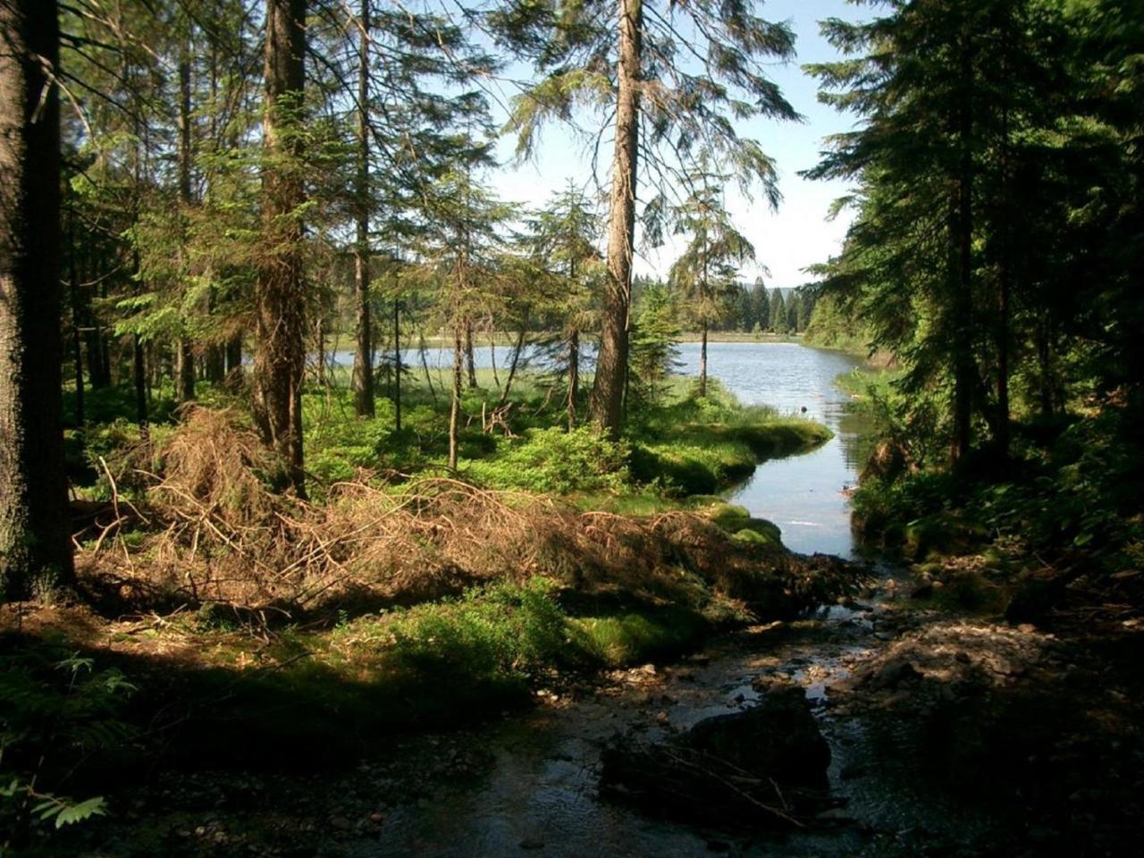 Ferienhof Ellerbeck Langdorf  Buitenkant foto